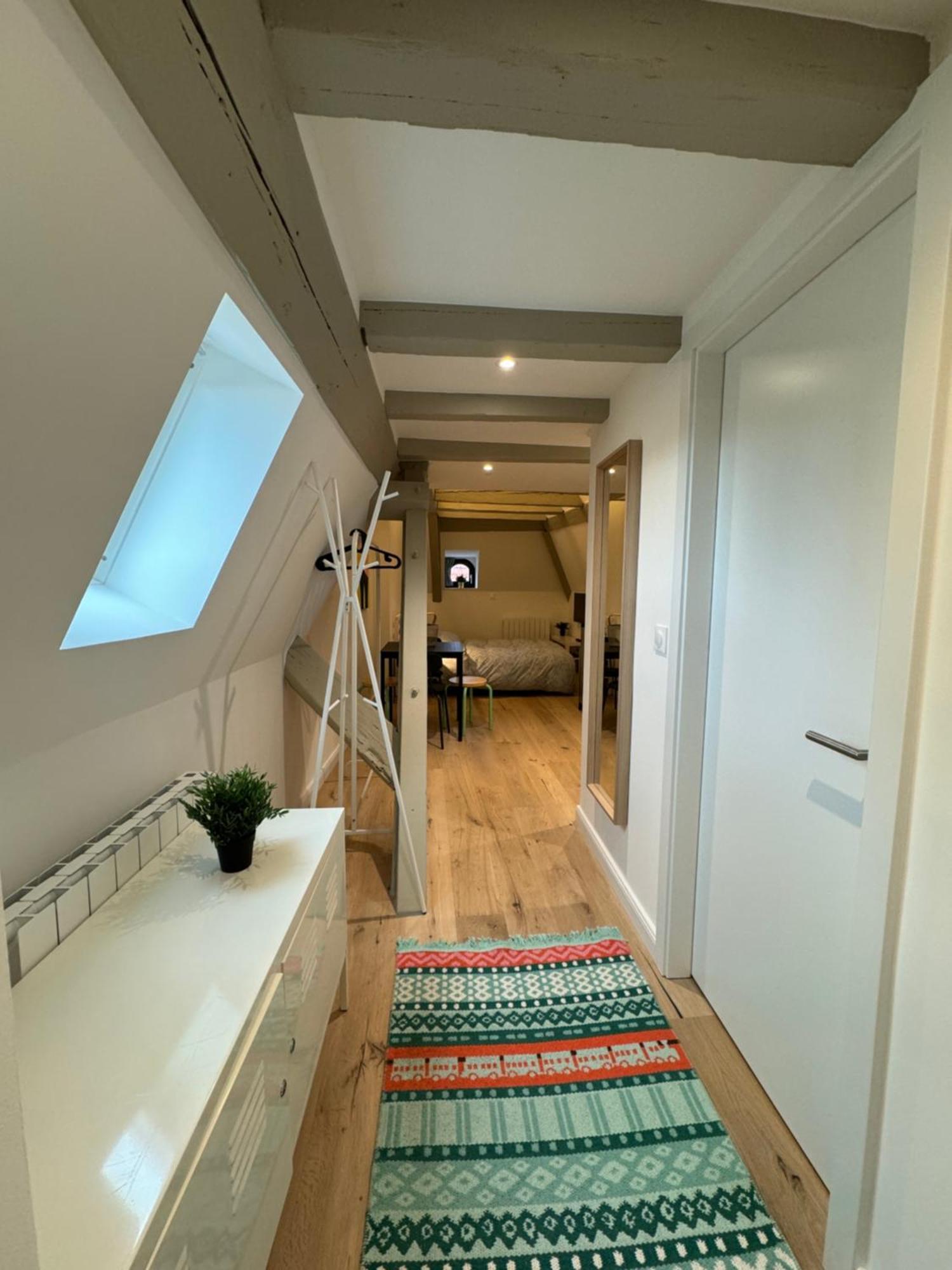 Ferienwohnung Le Salzmann Straßburg Exterior foto