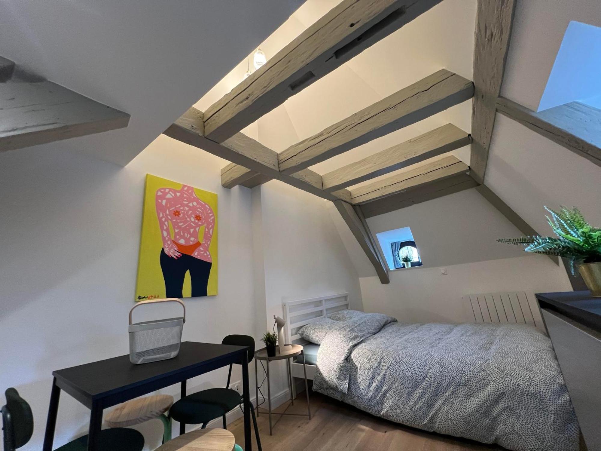 Ferienwohnung Le Salzmann Straßburg Exterior foto